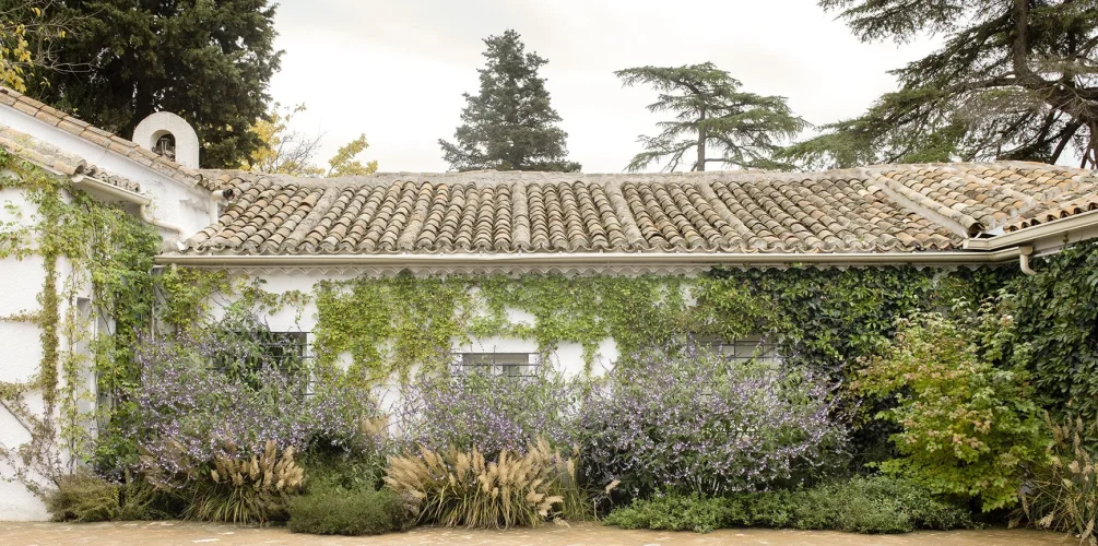 Lugar de celebración